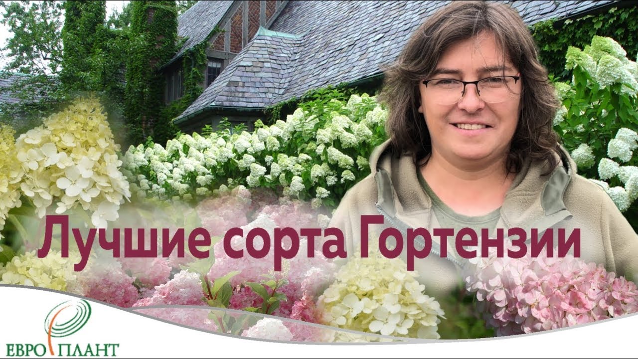 Нажмите, чтобы запустить видео