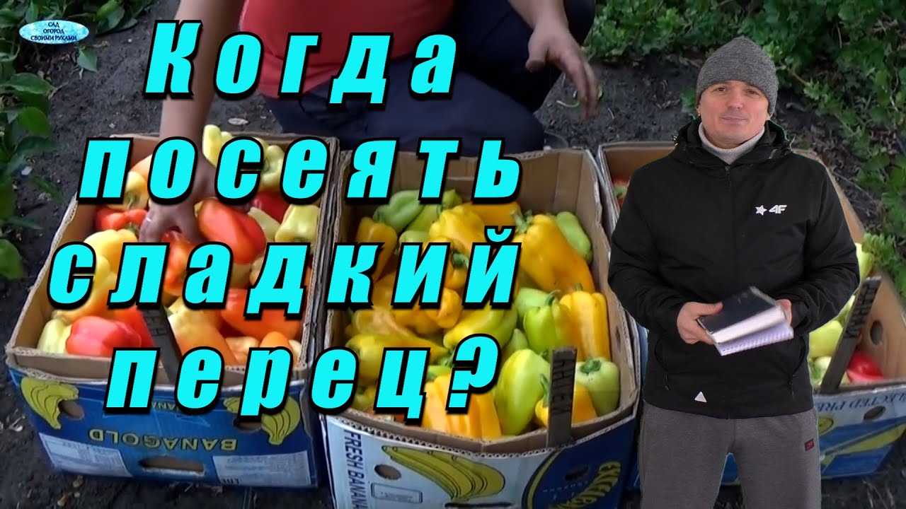 Нажмите, чтобы запустить видео