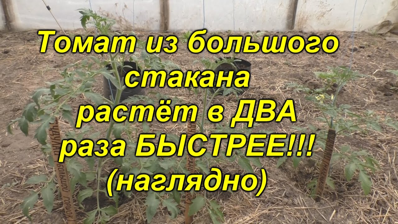 Нажмите, чтобы запустить видео