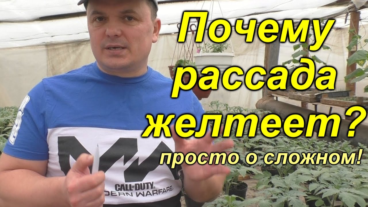 Нажмите, чтобы запустить видео