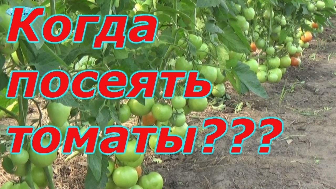 Нажмите, чтобы запустить видео