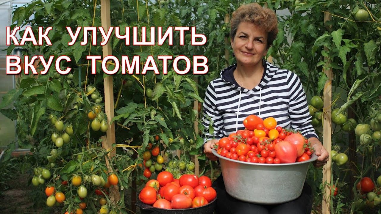 Нажмите, чтобы запустить видео