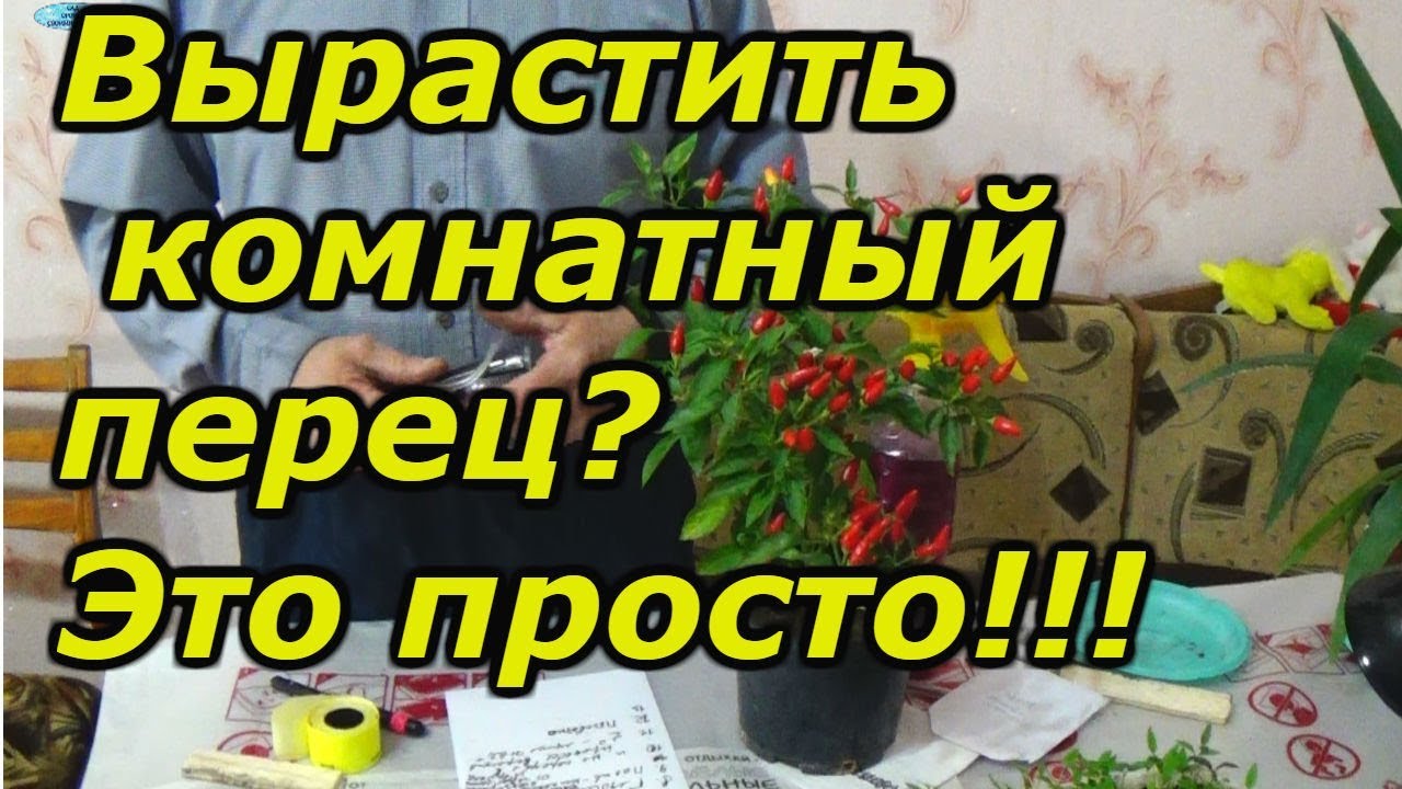 Нажмите, чтобы запустить видео