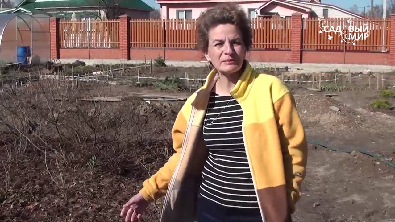Нажмите, чтобы запустить видео