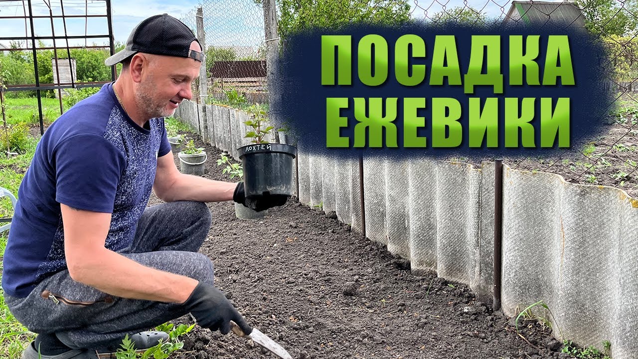 Нажмите, чтобы запустить видео