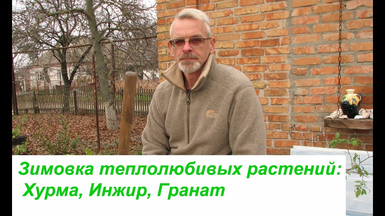 Нажмите, чтобы запустить видео