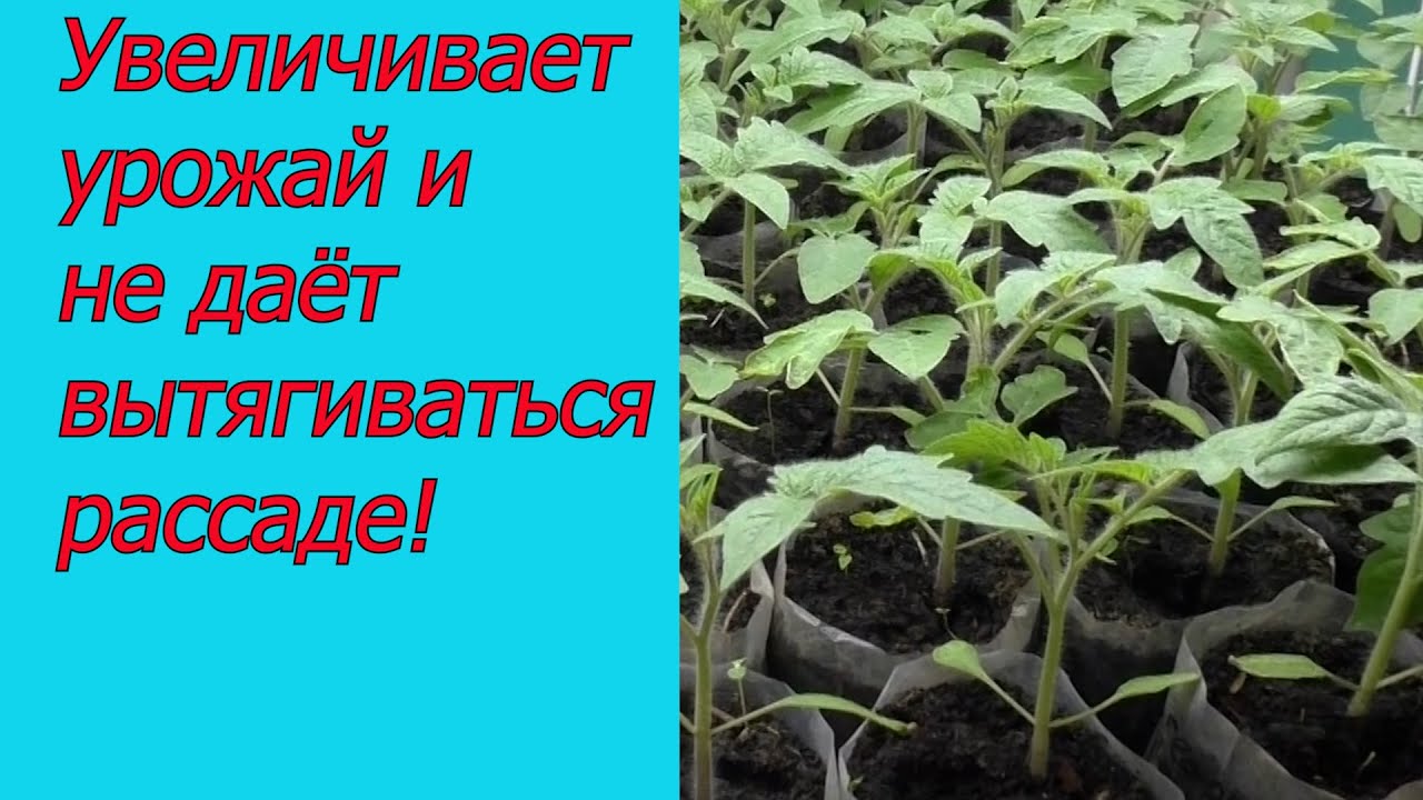 Нажмите, чтобы запустить видео