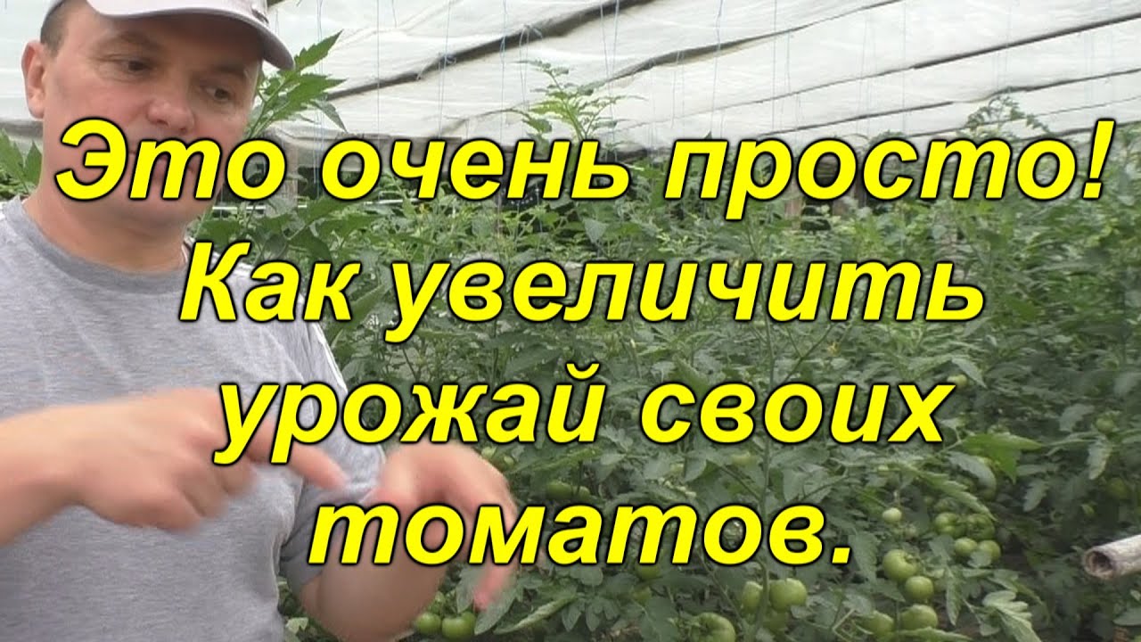 Нажмите, чтобы запустить видео