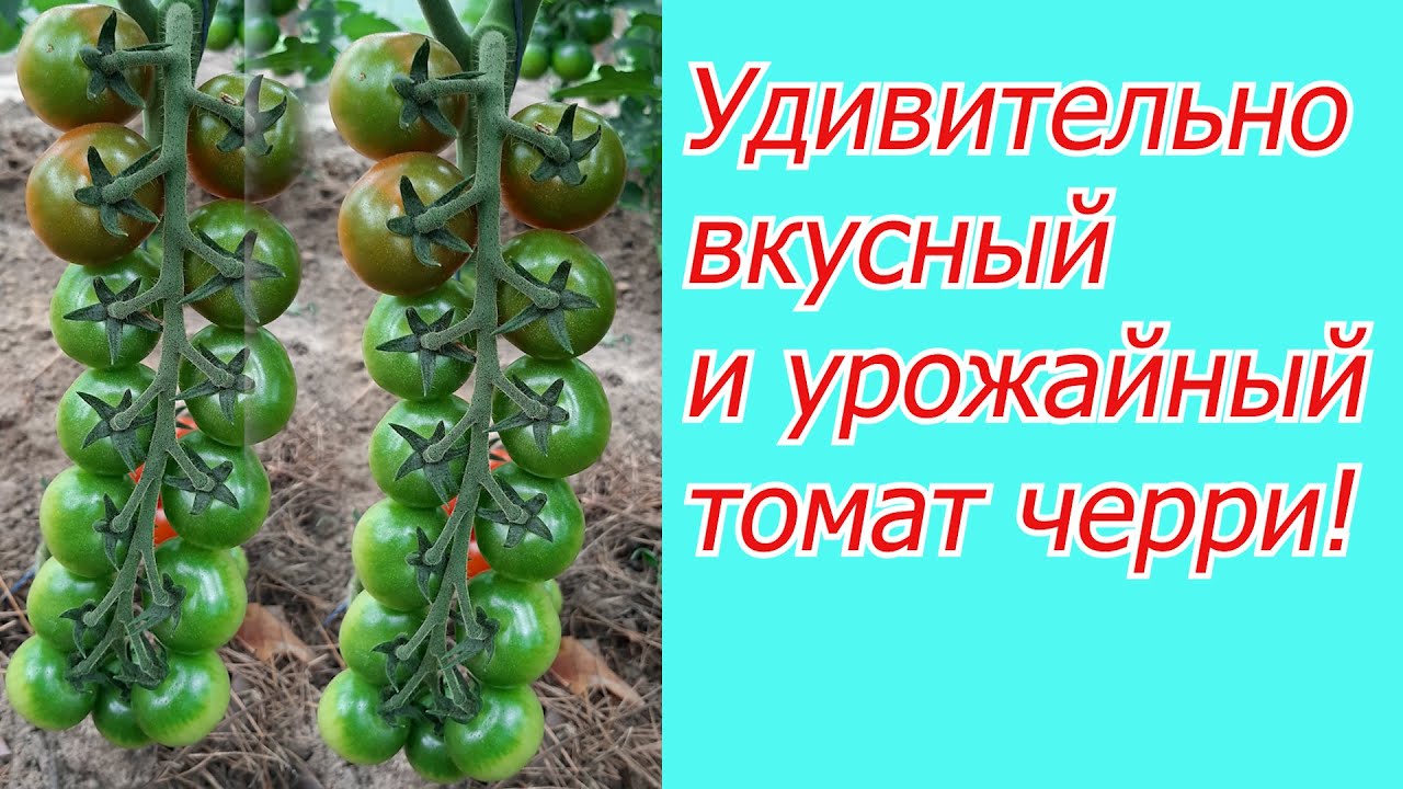 Нажмите, чтобы запустить видео