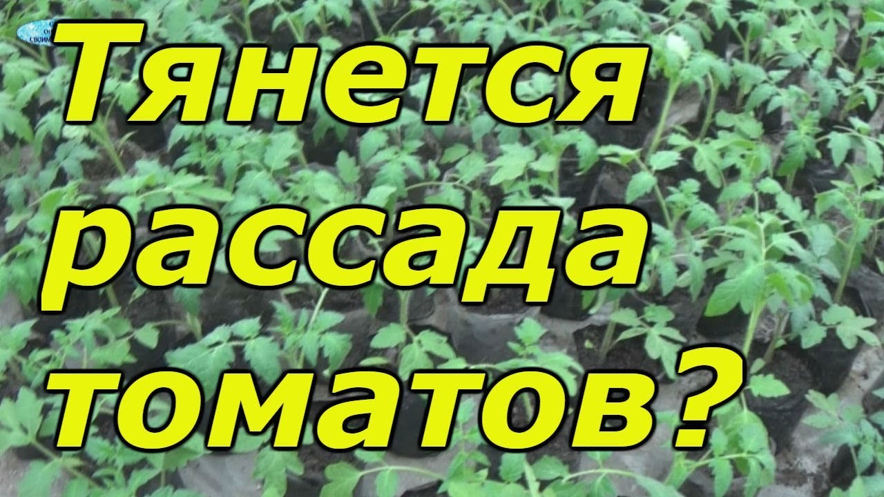 Нажмите, чтобы запустить видео