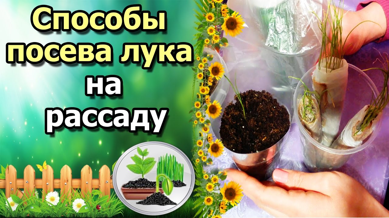 Нажмите, чтобы запустить видео