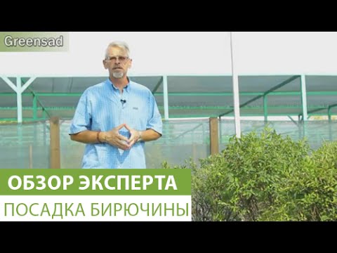 Нажмите, чтобы запустить видео