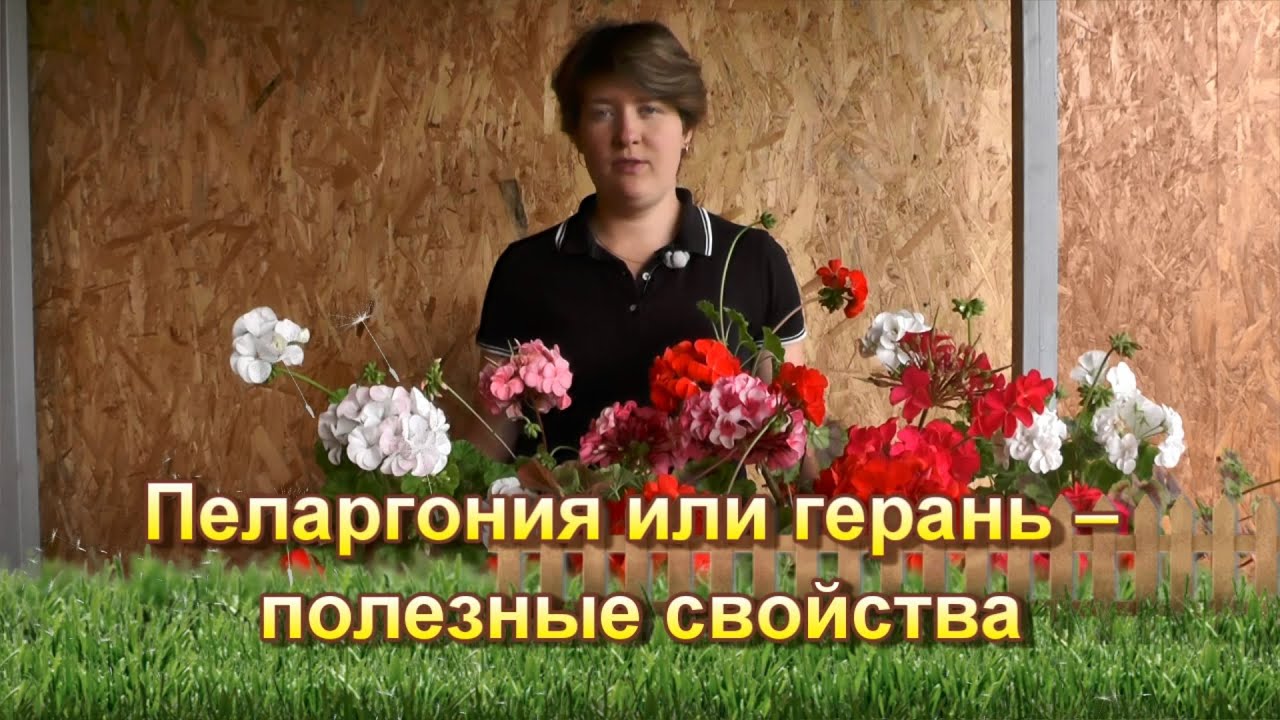 Нажмите, чтобы запустить видео