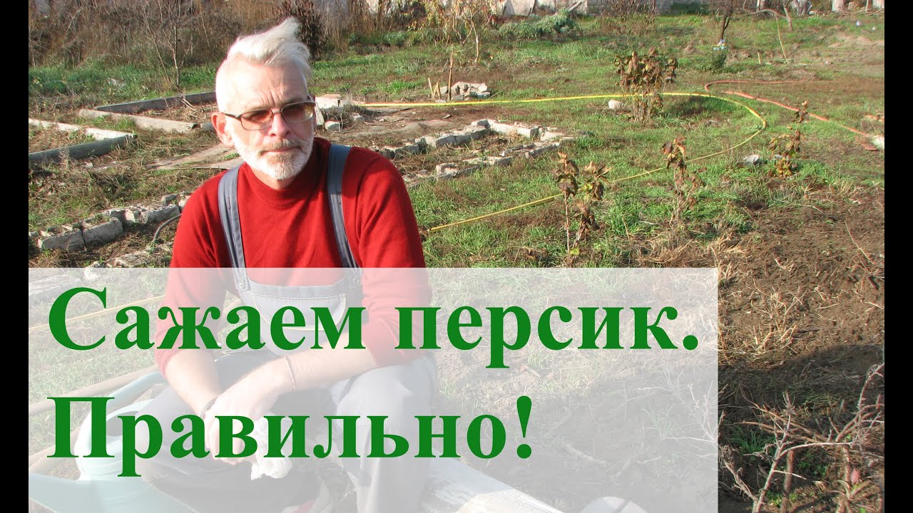 Нажмите, чтобы запустить видео