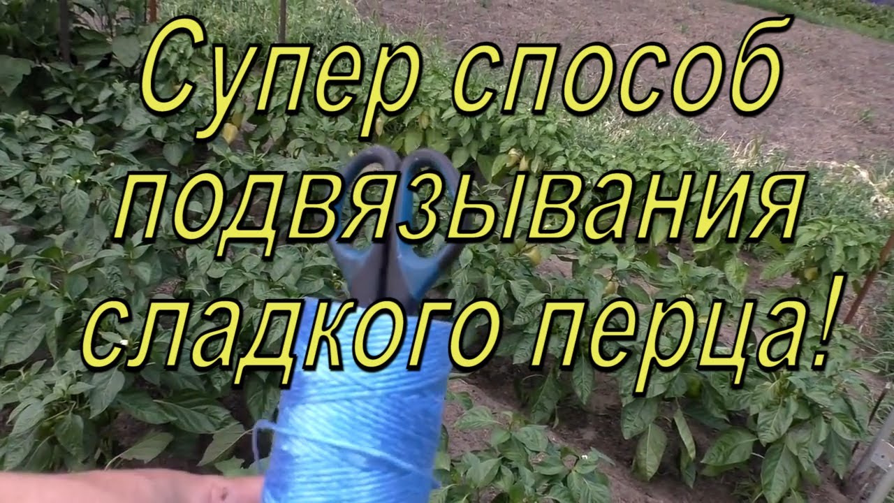 Нажмите, чтобы запустить видео