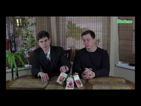 Нажмите, чтобы запустить видео