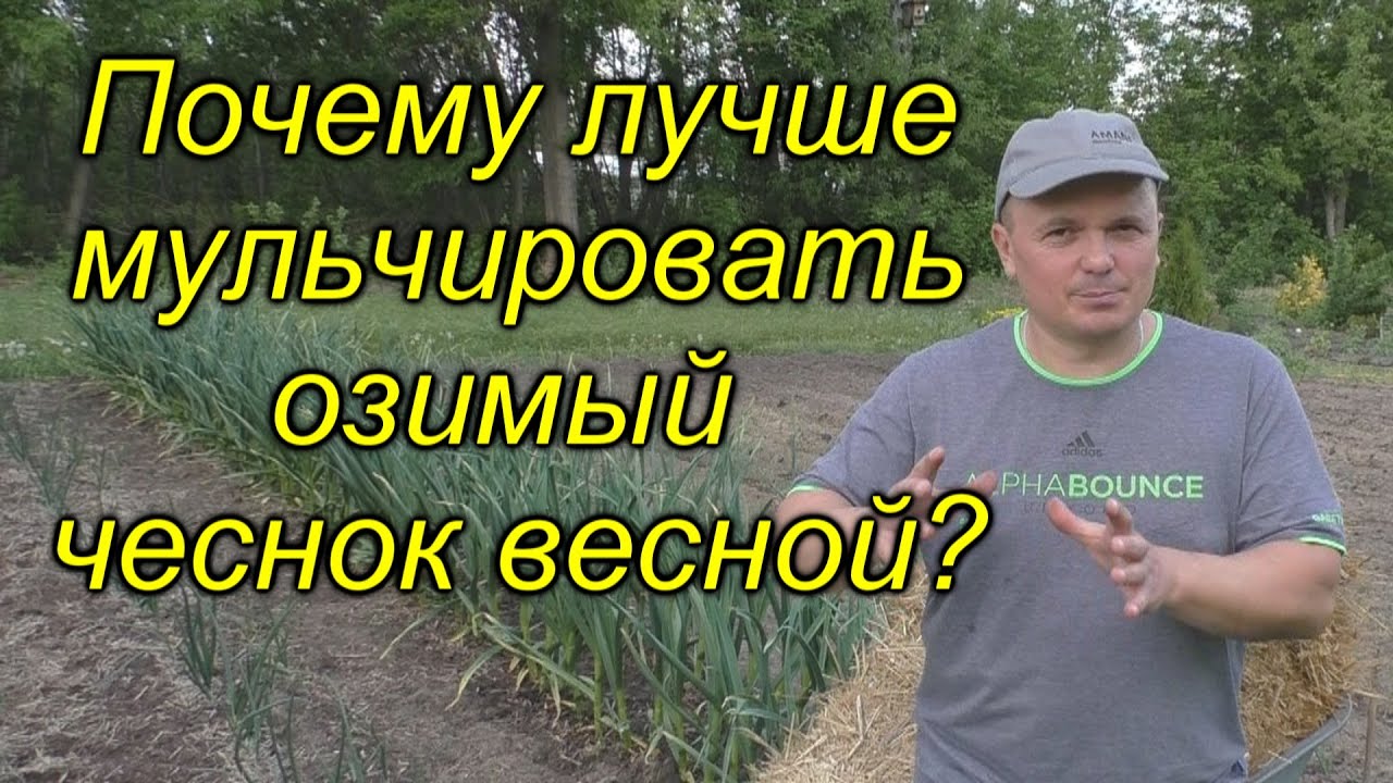 Нажмите, чтобы запустить видео