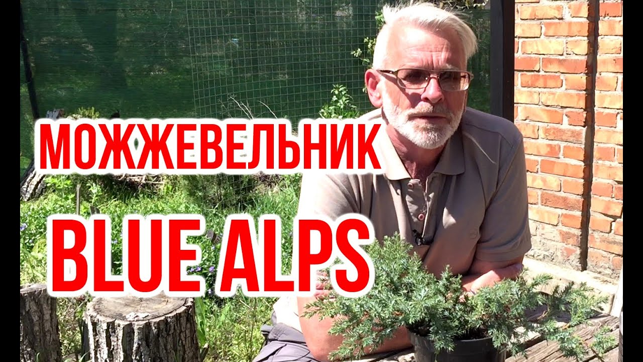 Нажмите, чтобы запустить видео