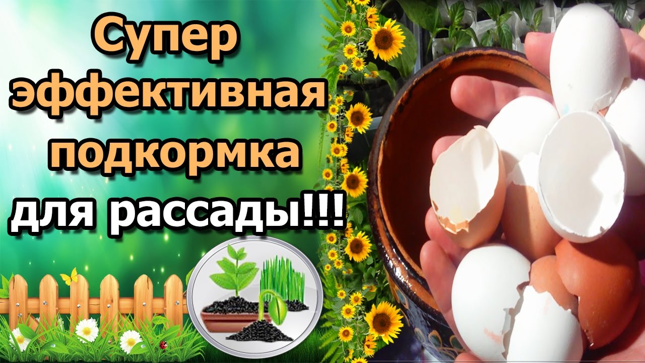 Нажмите, чтобы запустить видео