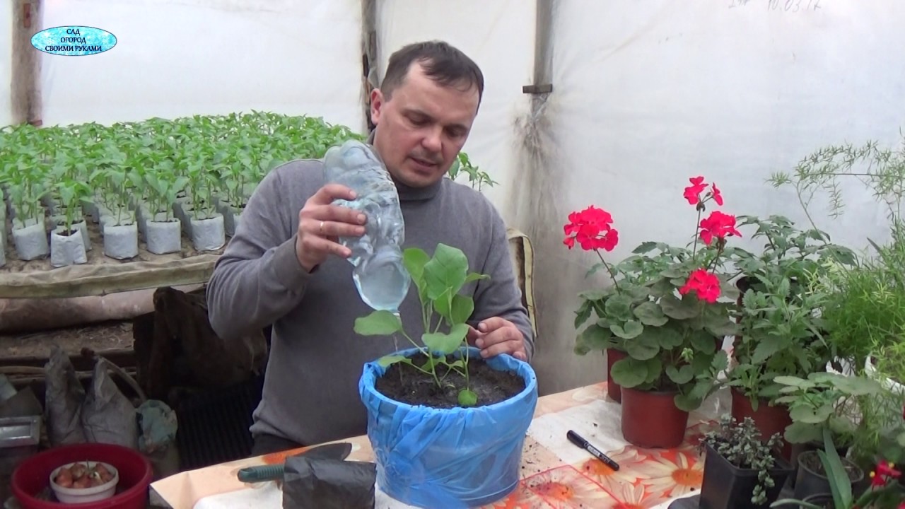 Нажмите, чтобы запустить видео