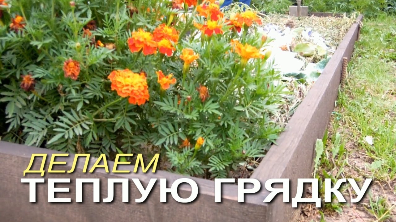 Нажмите, чтобы запустить видео