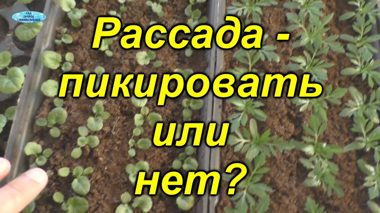 Нажмите, чтобы запустить видео