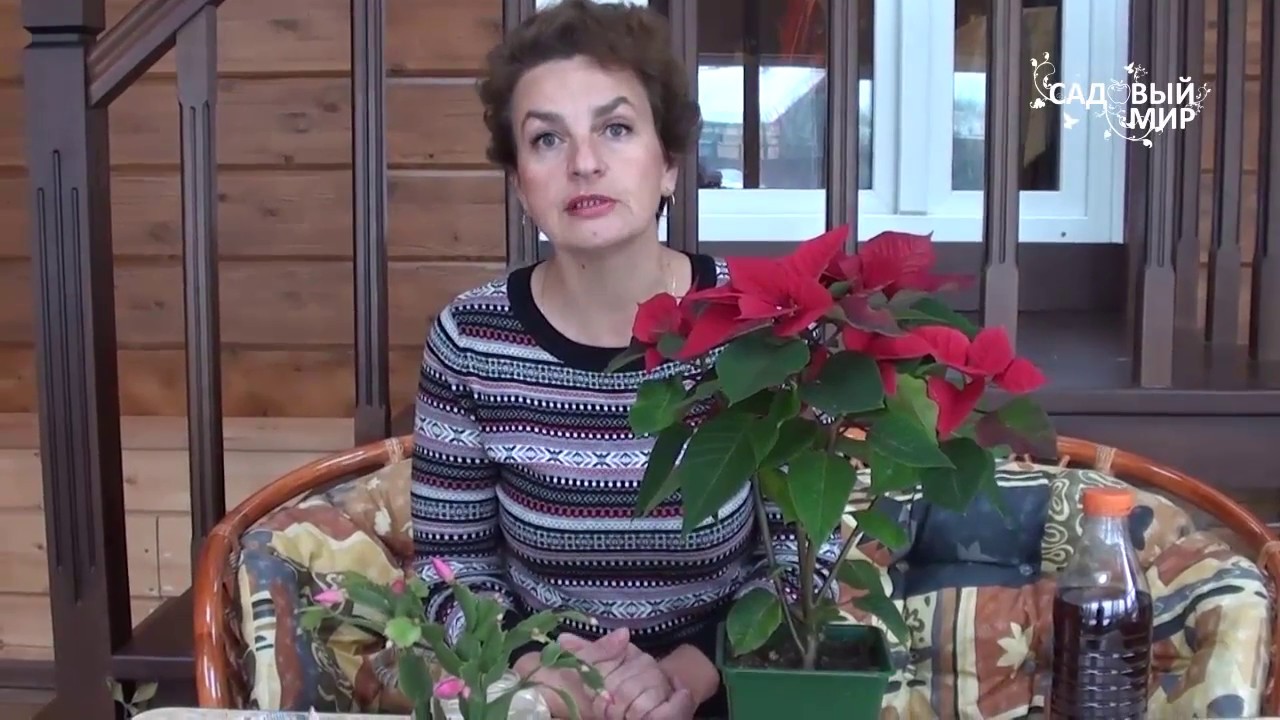 Нажмите, чтобы запустить видео