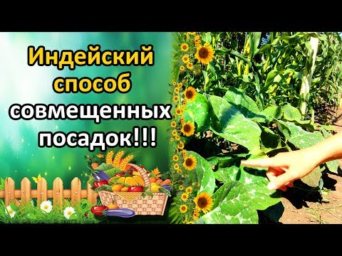Нажмите, чтобы запустить видео
