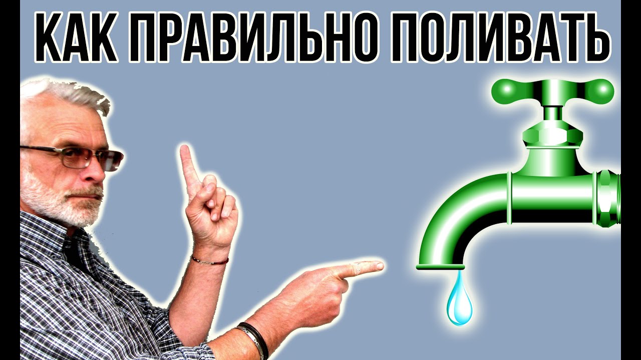 Нажмите, чтобы запустить видео