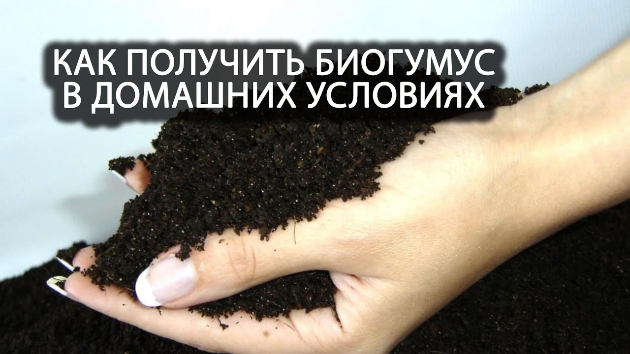 Нажмите, чтобы запустить видео