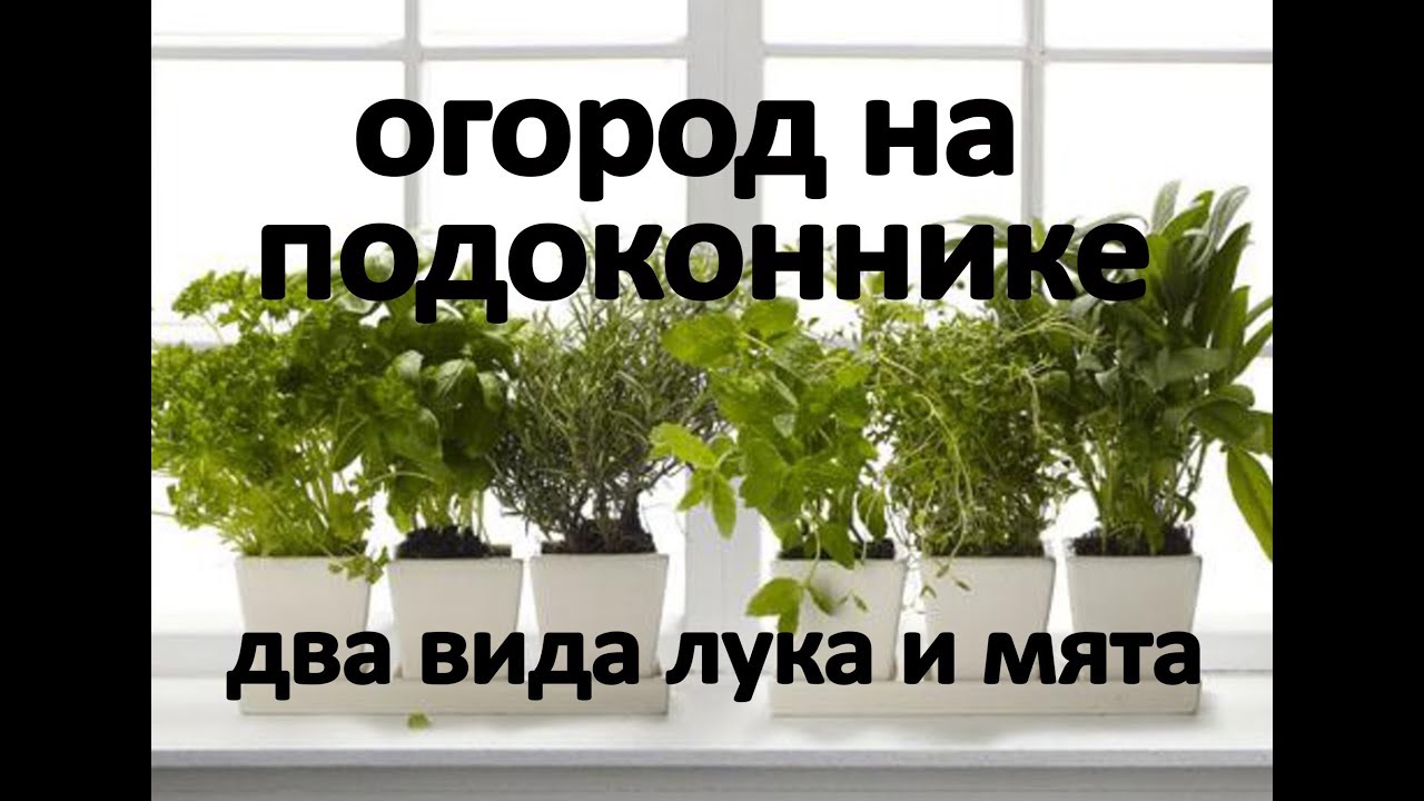 Нажмите, чтобы запустить видео