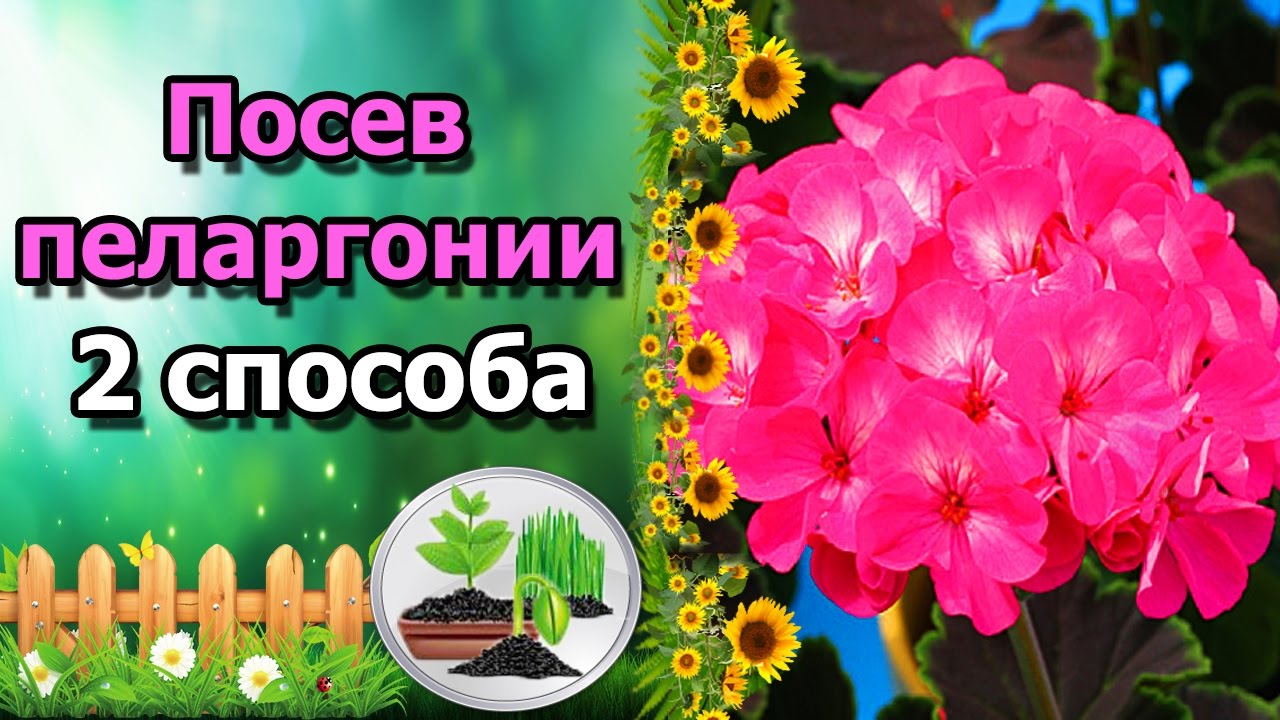Нажмите, чтобы запустить видео