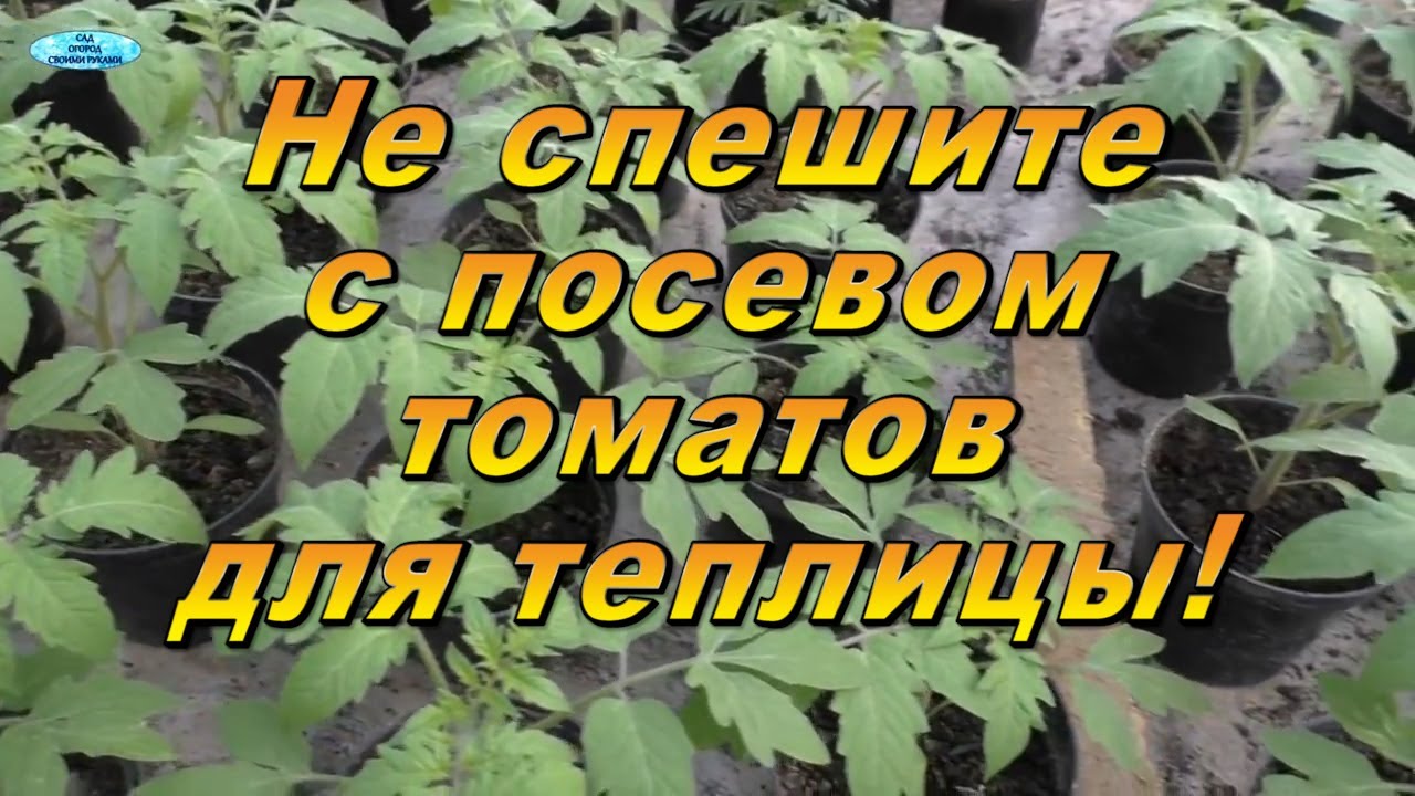 Нажмите, чтобы запустить видео