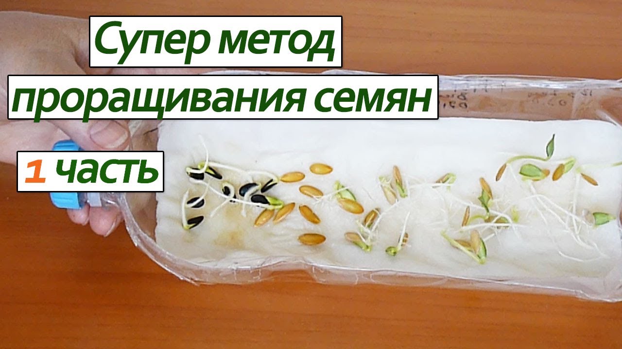 Нажмите, чтобы запустить видео