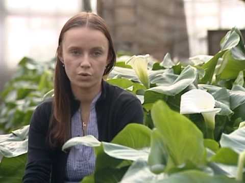 Нажмите, чтобы запустить видео