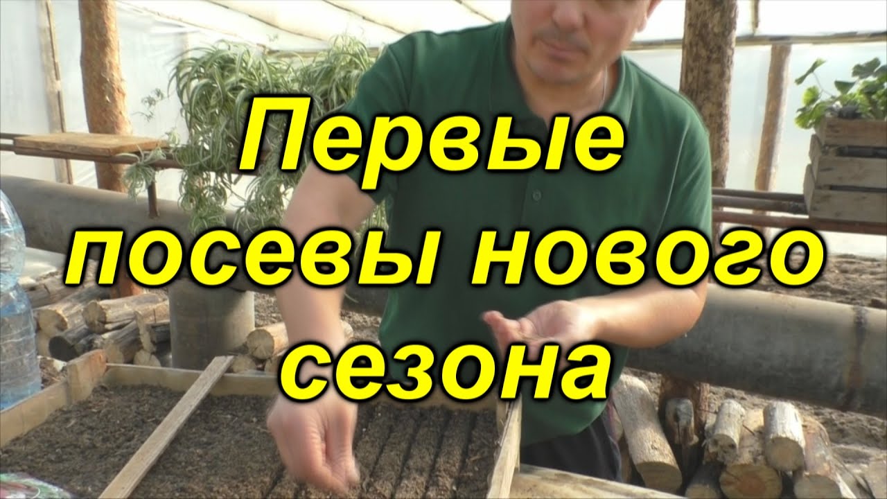 Нажмите, чтобы запустить видео