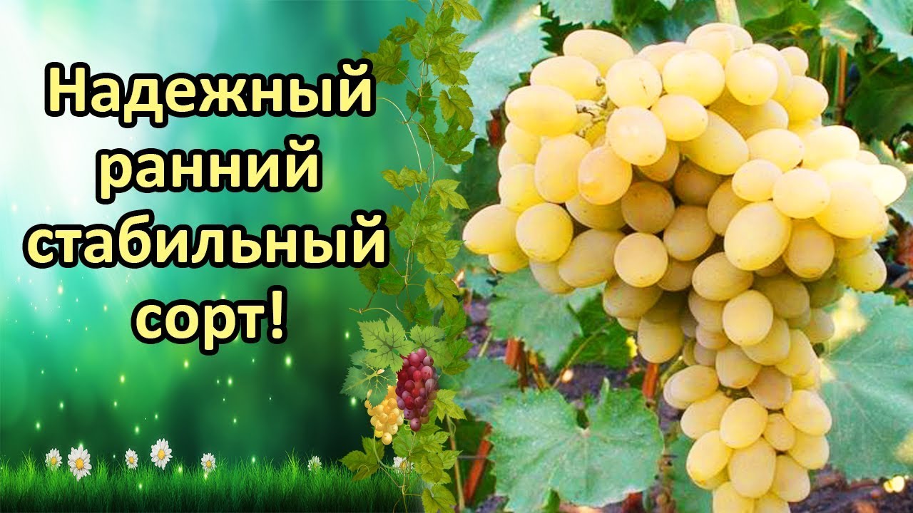 Нажмите, чтобы запустить видео