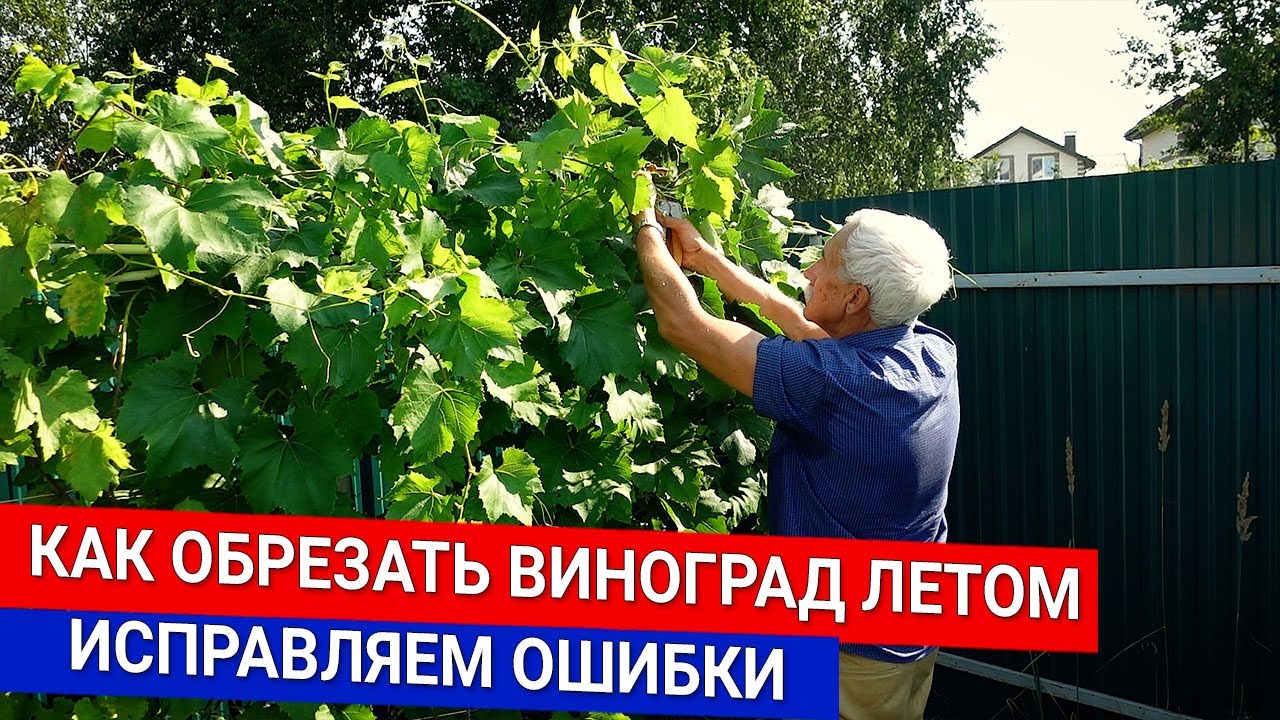 Нажмите, чтобы запустить видео