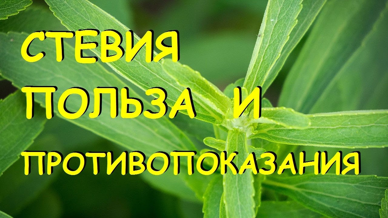 Нажмите, чтобы запустить видео