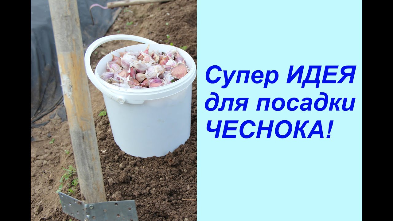 Нажмите, чтобы запустить видео
