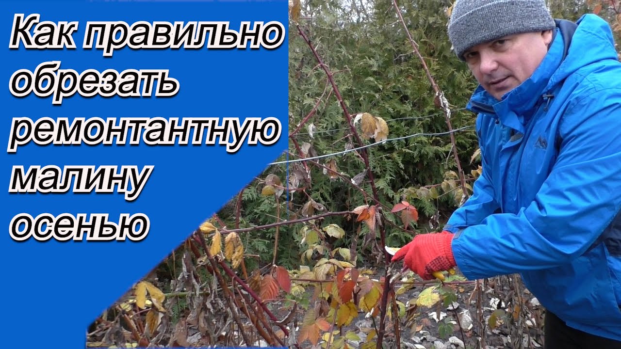 Нажмите, чтобы запустить видео