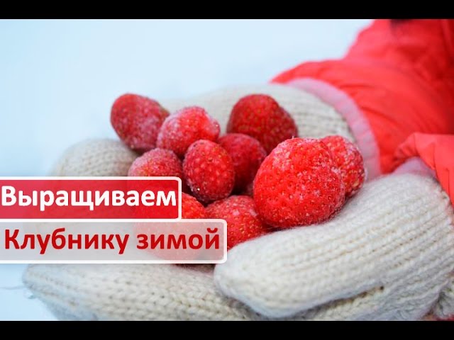 Нажмите, чтобы запустить видео