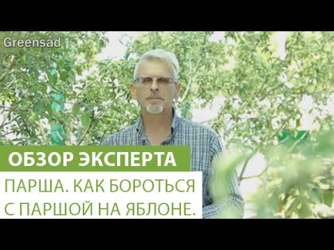 Нажмите, чтобы запустить видео