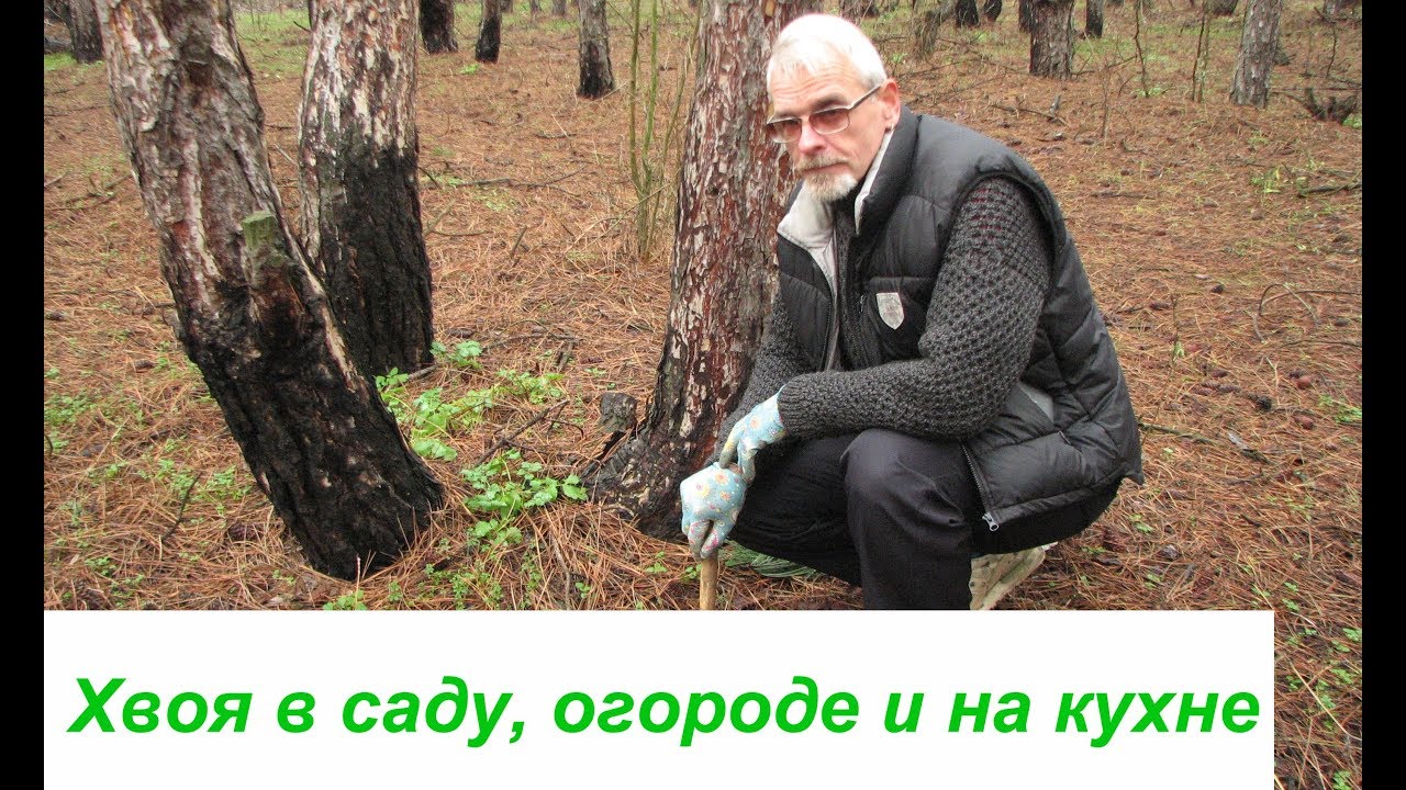 Нажмите, чтобы запустить видео