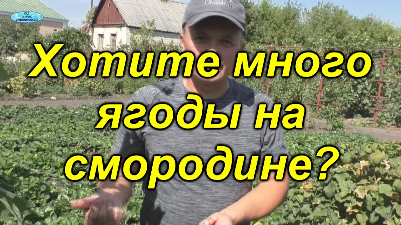 Нажмите, чтобы запустить видео