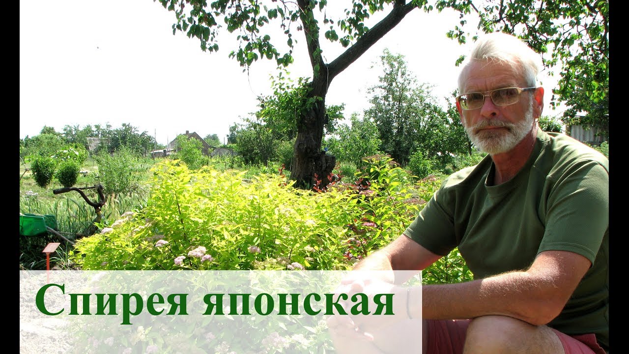 Нажмите, чтобы запустить видео
