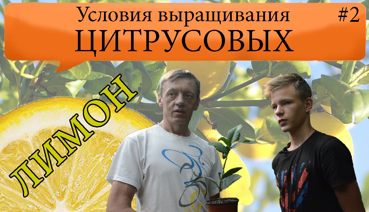 Нажмите, чтобы запустить видео