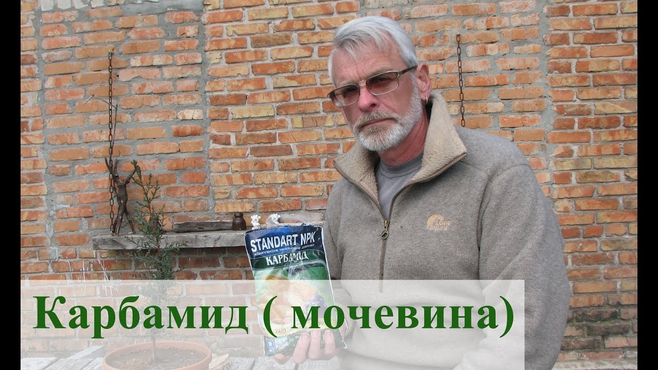 Нажмите, чтобы запустить видео