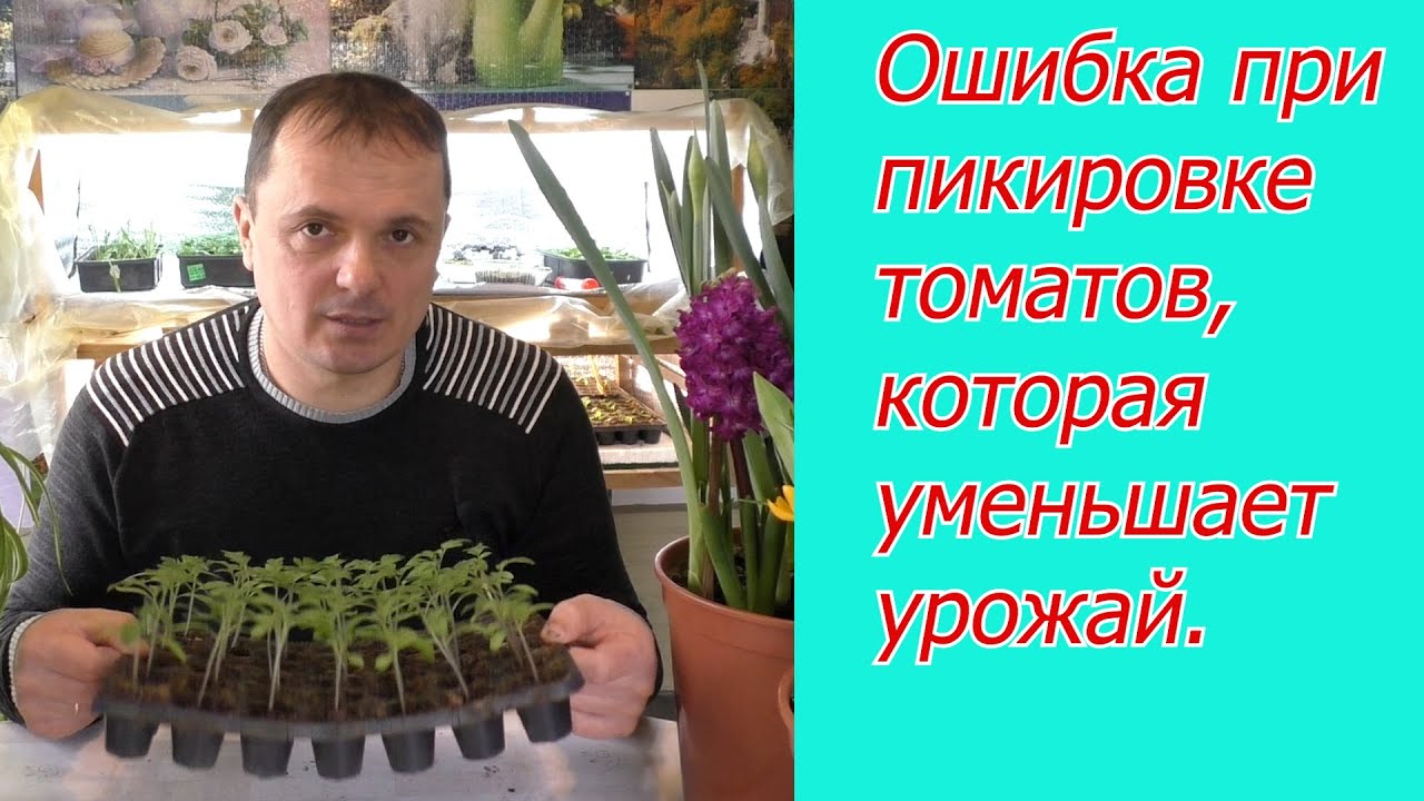 Нажмите, чтобы запустить видео