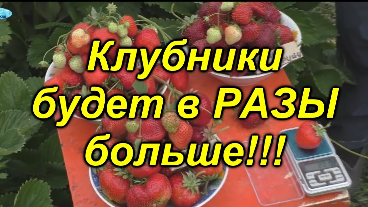 Нажмите, чтобы запустить видео